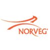 Norveg, термобелье Германия